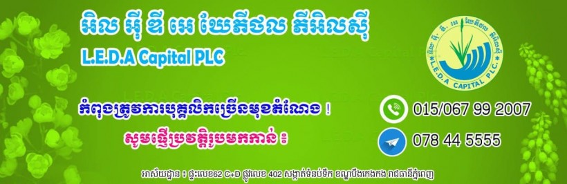 L.E.D.A Capital plc.