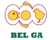 BDH TMH CO.,LTD